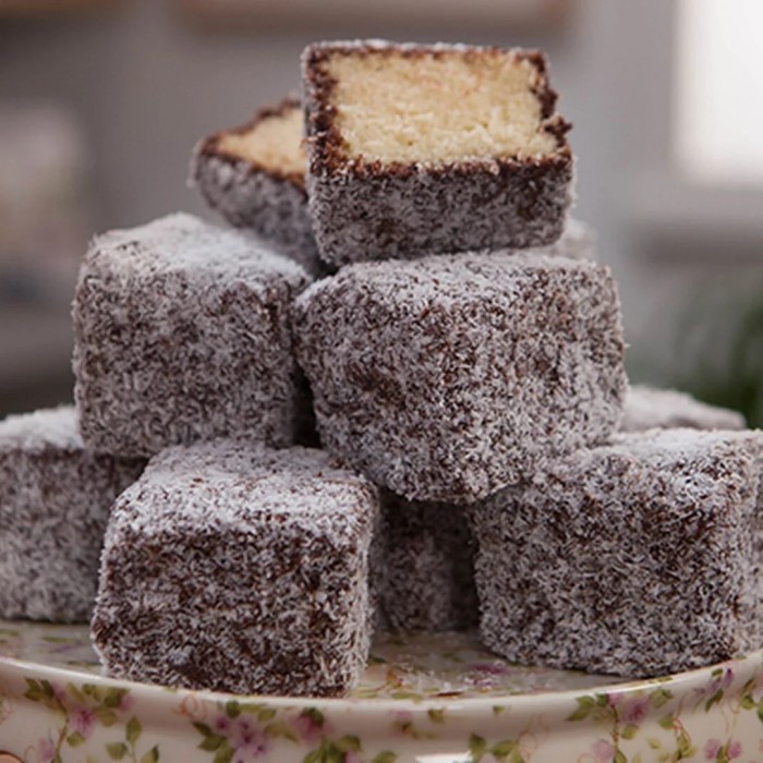 Lamingtons — Easy